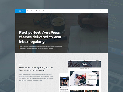 Array v3.0 blue clean design europa gray homepage proxima nova site type wordpress