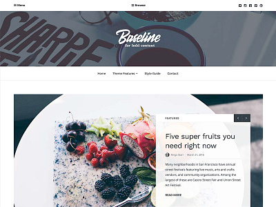 Baseline WordPress Theme clean columns food header homepage magazine publishing sans serif serif white