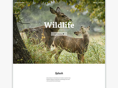 Playing with photos and type typography ui web