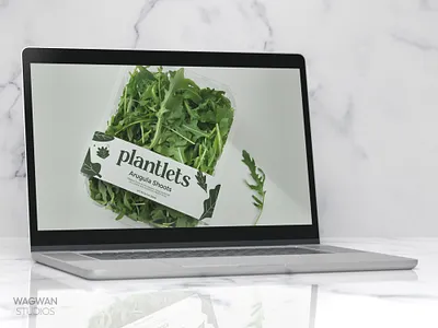 Plantlets – Freshness, Naturally Packed eatclean ecofriendlypackaging farmtotable freshproduce greenliving healthyeating healthylifestyle leafygreens microgreens minimaldesign naturalgoodness nutritiousbites organicgreens plantbased plantlets rocketbunch saladlovers sustainablebranding sustainablefood veganfood