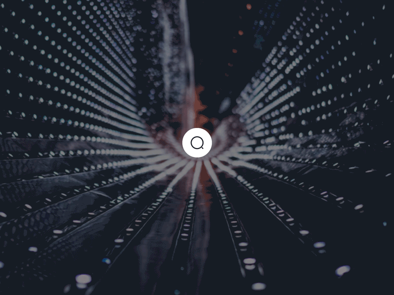 Search animation design principle search ui