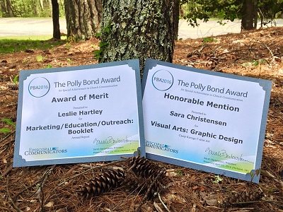 2016 Polly Bond Award 2016 annual report episcomm episcopal communicators graphic design kanuga national honor polly bond award second place t shirt third place visual arts