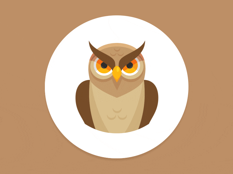 Angry Owl animation character motion owl quiver website