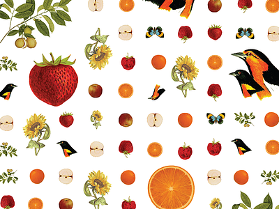 Waldorf birds flowers fruits pattern plants wallpaper