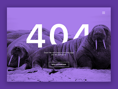 Daily UI #008 404 Page 008 404 daily daily ui 008 dailyui design error not found page ui web