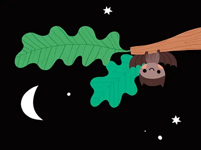 Bat animal character childrens book childrens illustration cute illustration kidlitart kids illustration mouse