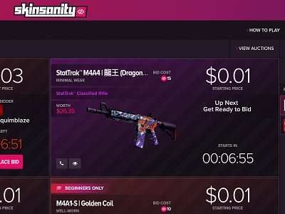 Skinsanity Brand & UI