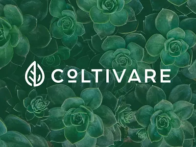 Coltivare Brand Identity brand identity branding flat hydroponics icon illustration leaf logo plant pot vector water