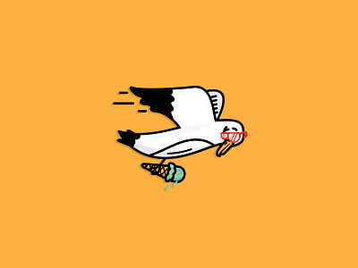 Seagull Thief beach bird cream fly ice seagull summer sunglasses thief