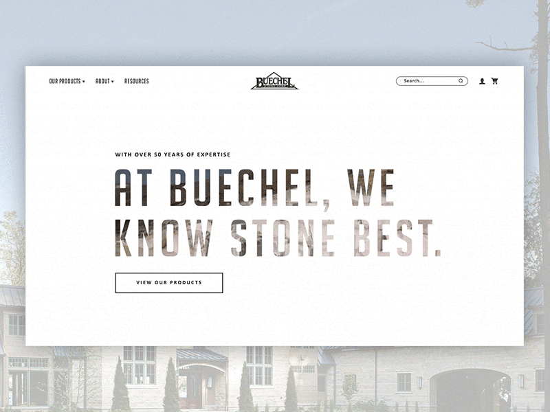 Buechel Stone Conecpt after effects concept e commerce photoshop user interface web design