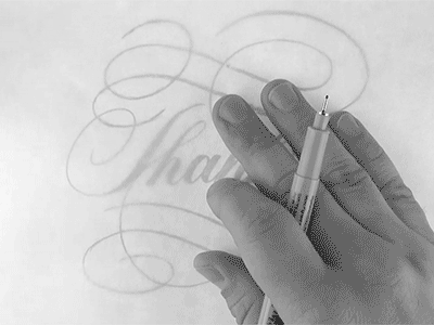 Thanks! calligraphy drawn flourish flourishes ink lettering thanks type typography