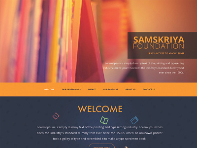 Non- Profit Website Design non profit orange