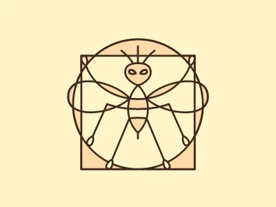 Ant ant ff line
