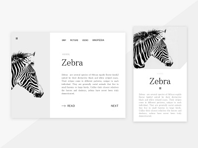 Animal card layout animal black card grid interface layout story ui ux web white