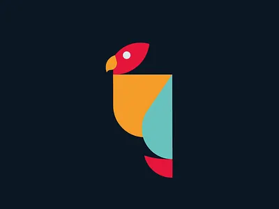 Parrot bird colorful parrot