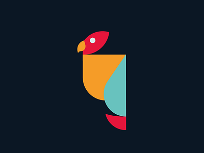 Parrot bird colorful parrot