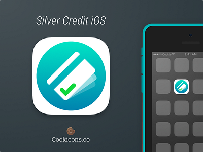 Silver Credit App Icon app icon credit card ios