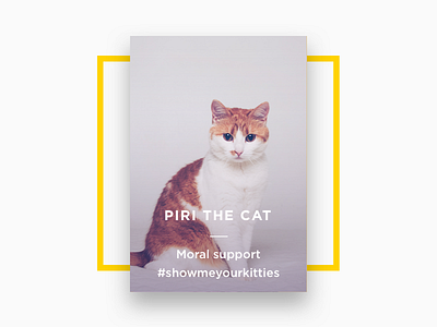 New crew members cat design gallery mock mockup photo yellow