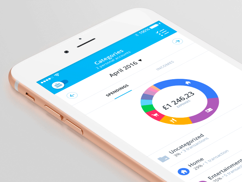 Bankin - Categorization categories expenses incomes ios spendings uncatogorized