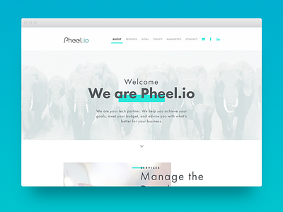 Pheel.io Landing page arabic elephant landing page pheel.io responsive ui design website