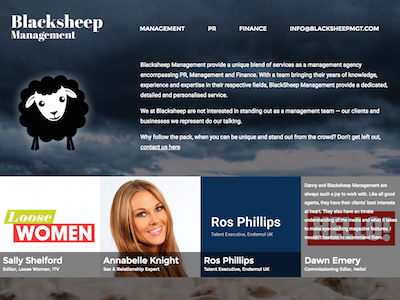 Blacksheep Management Website content homepage logo design sheep web design