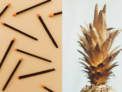 Revelry Collective Photos matches photography pineapples