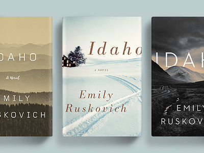 More Idaho book cover