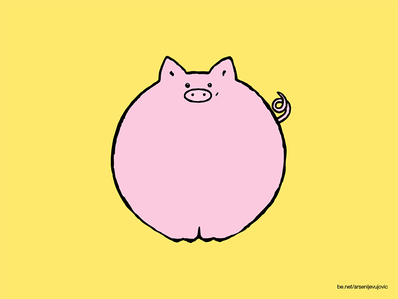 Animals - 07 - Pig animal animals animation characterdesign graphic illustration illustrations motion motiongraphics pig piglet stylisation