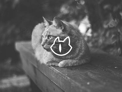 Cat icon