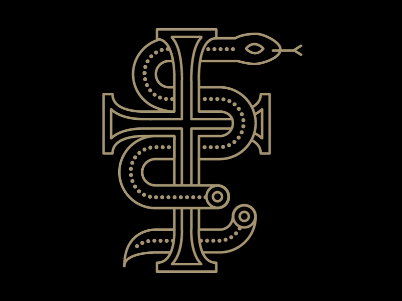 The Chapel Townhouse - Snake Animation animation blood branding clean dark gif gold illustration motion snake townhouse website