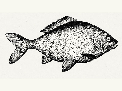 A Fish illustration