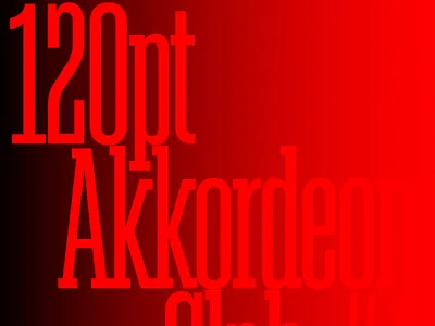 Akkordeon Slab Typeface black