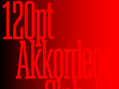 Akkordeon Slab Typeface black