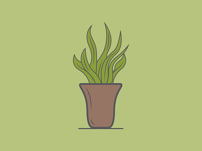 House Plant green house illustration plant