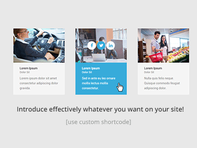 Introduce effectively whatever you want on your site! hover effects wordpress