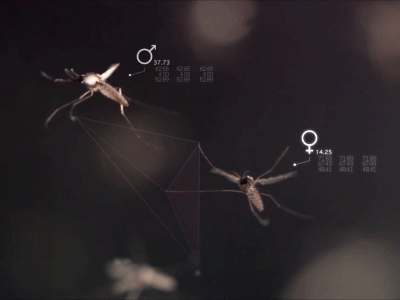 Slow-mo-squitoes after effects data digital footage graphics infographic lines mosquito sex slow mo tracking ui