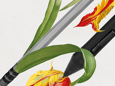 120 Wither botanical collage pencil stilus strng tulip vintage