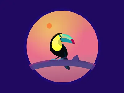 Toucan beack bill bird brasil colorful fowl multicolor pink sun toccotoucan toucan yellow