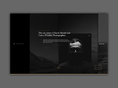 David Altrath Webdesign black design gold screen ui ux web white