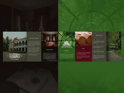 Tsinandali Palace architechture garden georgia museum responsive design uiux wine