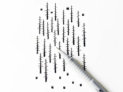Woods drawing illustration minimal pine sketch tree wood