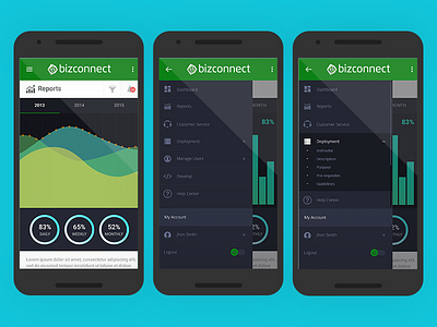 Bizconnect application back office graph mobile ui ux