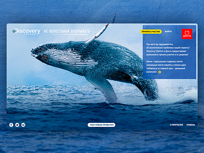 Discovery adn cover design discovery interface site ui ux website