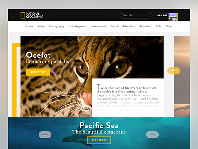 National Geographic Redesign layout national geographic nature photography redesign ui web