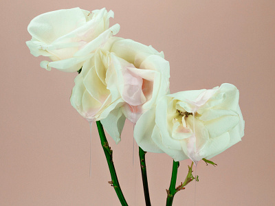 Spring Cleaning (WIP) goo photography roses slime spring tactile design