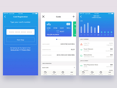 Finance 2 — Ally UI Kit app blog e commerce finance ios mobile social store travel ui kit