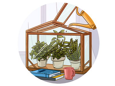 Home garden herbs books drawing garden herbs illustration morning вasil