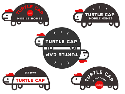 Cool Turtle Cap Logos branding cool illustration logo turtles