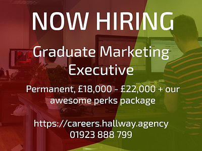 Hiring - Graduate Marketing Executive craft beer digital marketing jobs watford