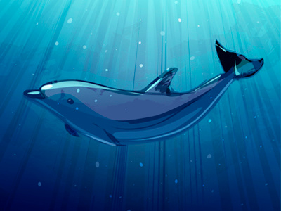 Dolphin Underwater illustration vector